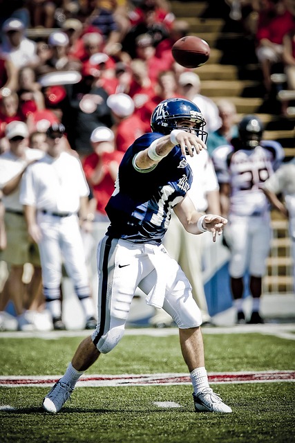 态系统的稳 态系统的稳